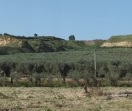 foto10