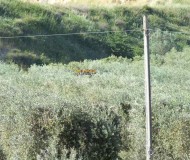 foto16