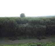 foto29