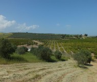 foto9