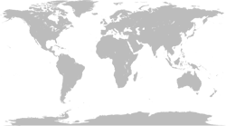 officina beg in the world