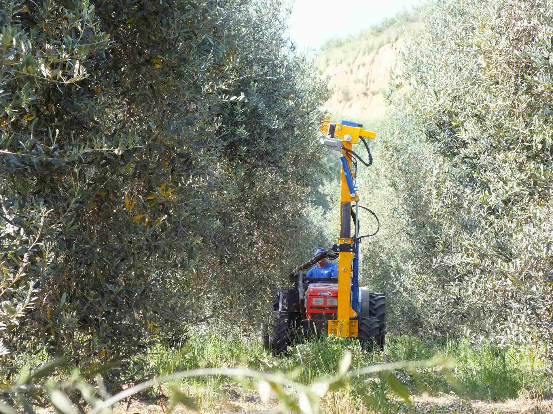 slide-2017-potatrice-al-lavoro