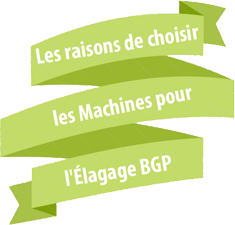 slogan