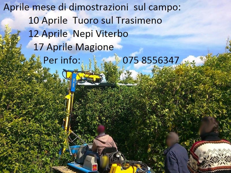 Prove sul Campo 2014
